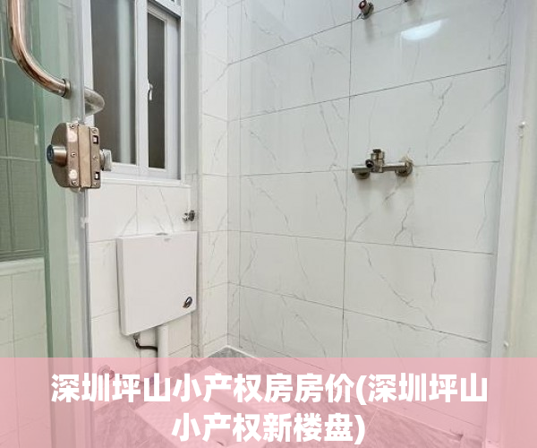深圳坪山小产权房房价(深圳坪山小产权新楼盘) 深圳坪山小产权房房价(深圳坪山小产权新楼盘)