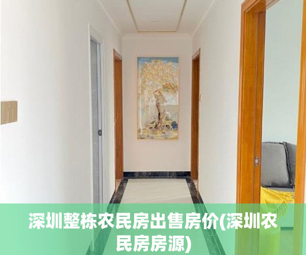 深圳整栋农民房出售房价(深圳农民房房源)