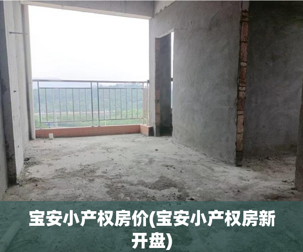宝安小产权房价(宝安小产权房新开盘)