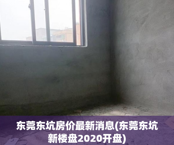 东莞东坑房价最新消息(东莞东坑新楼盘2020开盘)