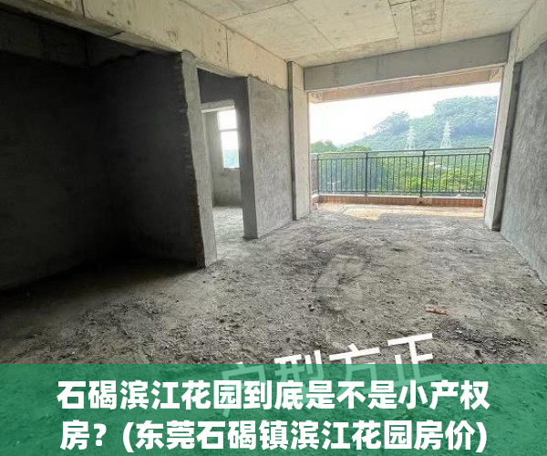 石碣滨江花园到底是不是小产权房？(东莞石碣镇滨江花园房价)