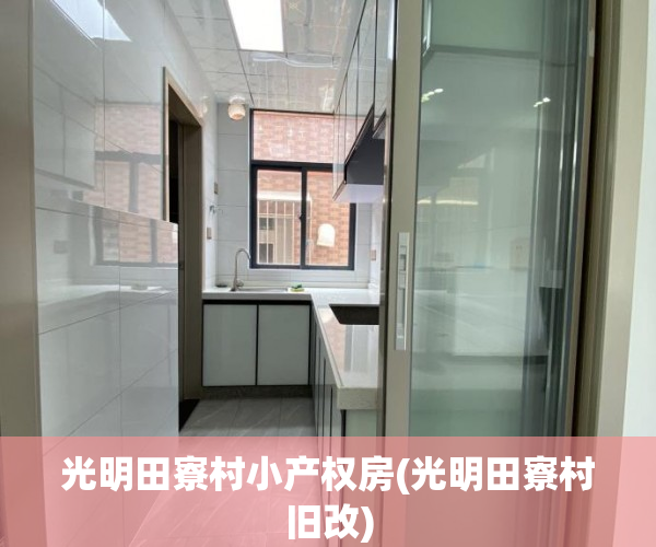 光明田寮村小产权房(光明田寮村旧改)
