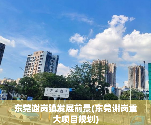 东莞谢岗镇发展前景(东莞谢岗重大项目规划) 东莞谢岗镇发展前景(东莞谢岗重大项目规划)
