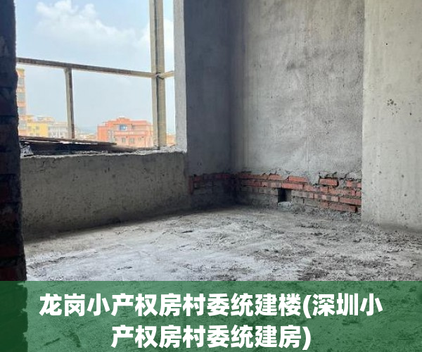 龙岗小产权房村委统建楼(深圳小产权房村委统建房) 龙岗小产权房村委统建楼(深圳小产权房村委统建房)