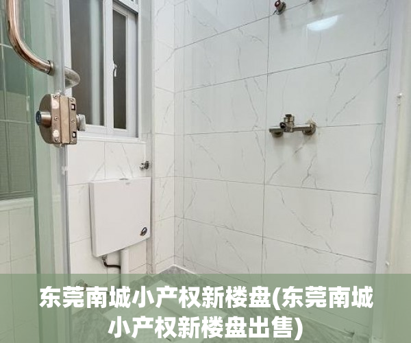 东莞南城小产权新楼盘(东莞南城小产权新楼盘出售) 东莞南城小产权新楼盘(东莞南城小产权新楼盘出售)
