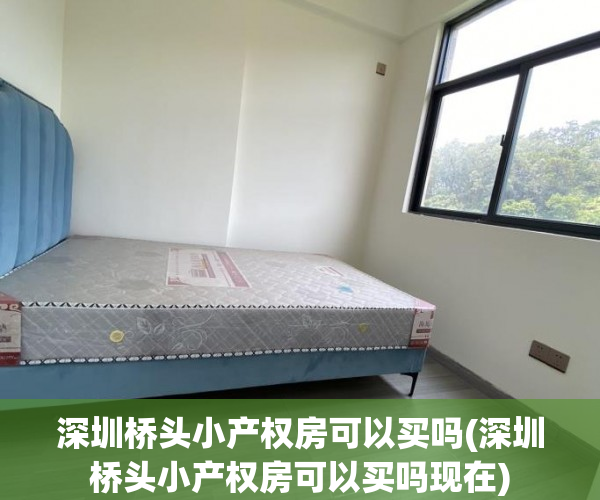 深圳桥头小产权房可以买吗(深圳桥头小产权房可以买吗现在) 深圳桥头小产权房可以买吗(深圳桥头小产权房可以买吗现在)