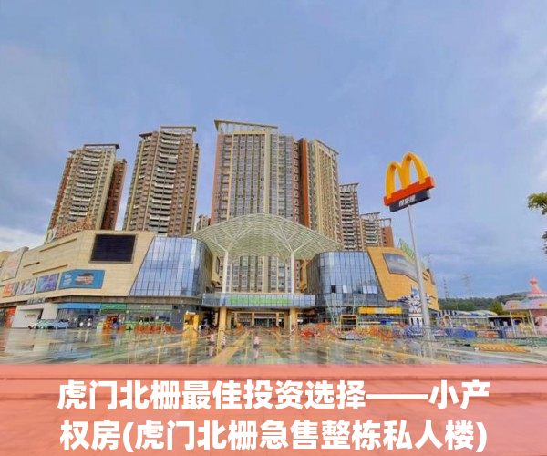 虎门北栅最佳投资选择——小产权房(虎门北栅急售整栋私人楼)