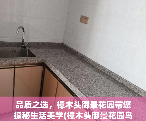 品质之选，樟木头御景花园带您探秘生活美学(樟木头御景花园鸟瞰图)