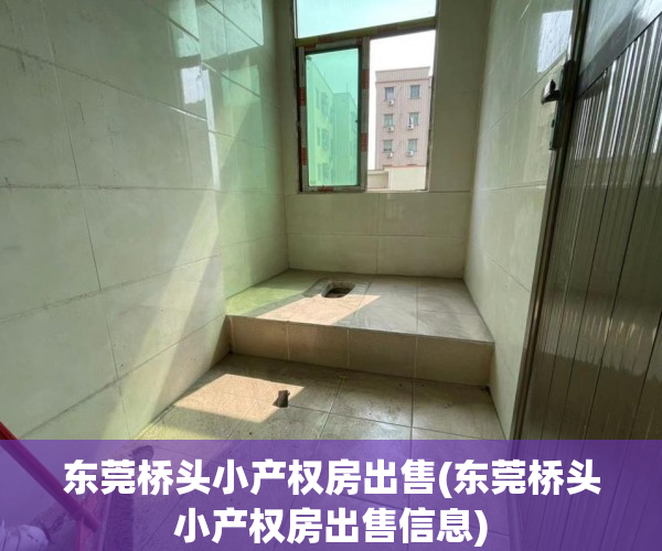 东莞桥头小产权房出售(东莞桥头小产权房出售信息) 东莞桥头小产权房出售(东莞桥头小产权房出售信息)