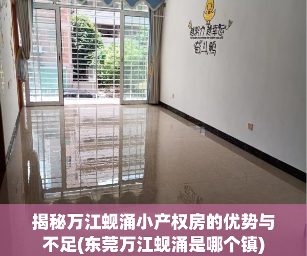 揭秘万江蚬涌小产权房的优势与不足(东莞万江蚬涌是哪个镇)