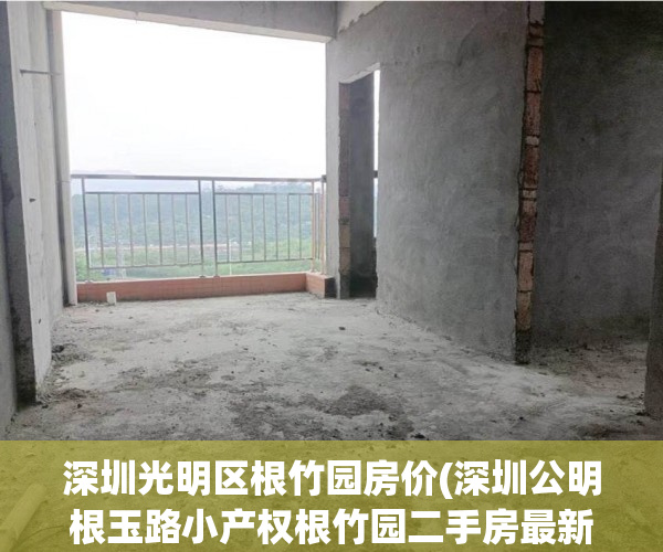 深圳光明区根竹园房价(深圳公明根玉路小产权根竹园二手房最新房价)