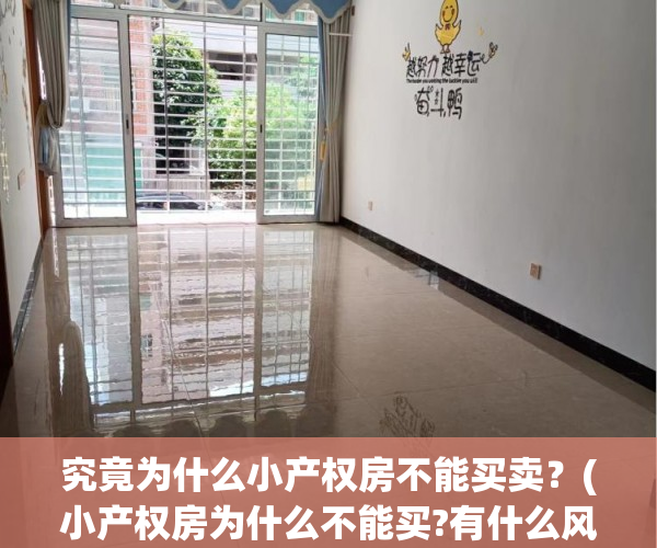 究竟为什么小产权房不能买卖？(小产权房为什么不能买?有什么风险吗)