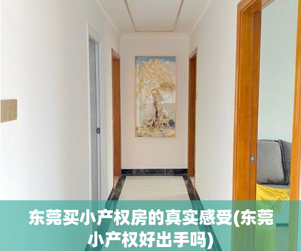 东莞买小产权房的真实感受(东莞小产权好出手吗) 东莞买小产权房的真实感受(东莞小产权好出手吗)