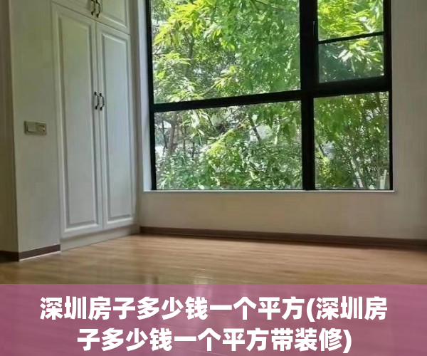深圳房子多少钱一个平方(深圳房子多少钱一个平方带装修)