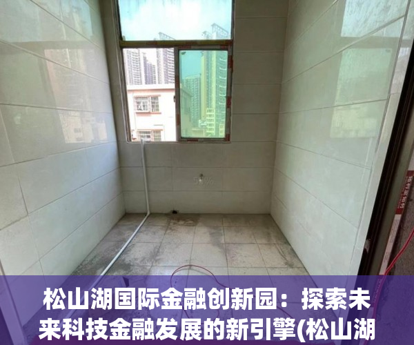 松山湖国际金融创新园：探索未来科技金融发展的新引擎(松山湖创新创业园)