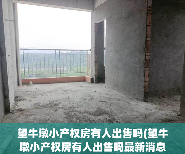 望牛墩小产权房有人出售吗(望牛墩小产权房有人出售吗最新消息) 望牛墩小产权房有人出售吗(望牛墩小产权房有人出售吗最新消息)