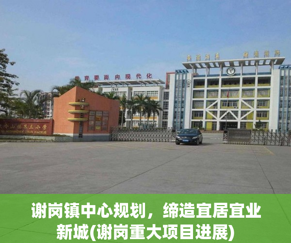 谢岗镇中心规划，缔造宜居宜业新城(谢岗重大项目进展)