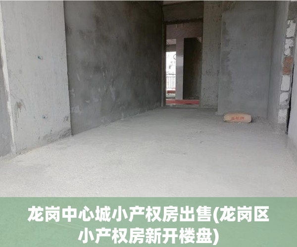 龙岗中心城小产权房出售(龙岗区小产权房新开楼盘) 龙岗中心城小产权房出售(龙岗区小产权房新开楼盘)