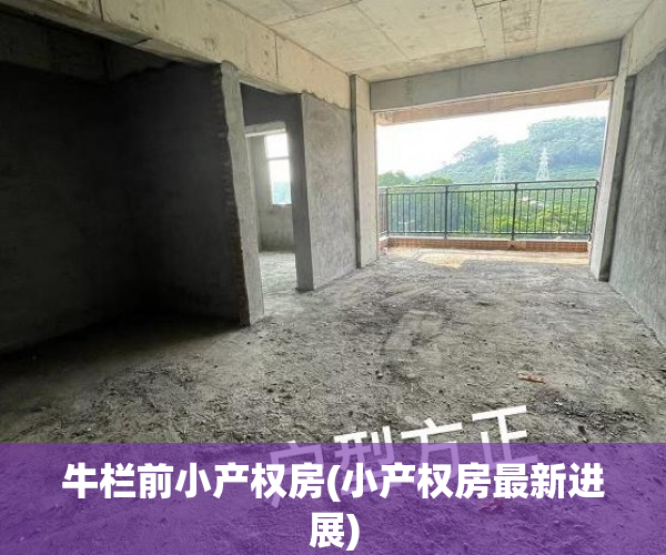 牛栏前小产权房(小产权房最新进展) 牛栏前小产权房(小产权房最新进展)
