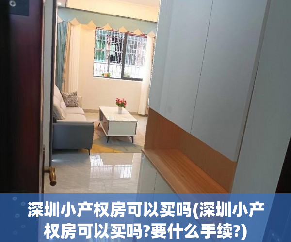 深圳小产权房可以买吗(深圳小产权房可以买吗?要什么手续?) 深圳小产权房可以买吗(深圳小产权房可以买吗?要什么手续?)
