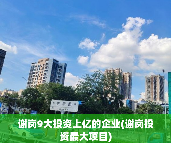 谢岗9大投资上亿的企业(谢岗投资最大项目) 谢岗9大投资上亿的企业(谢岗投资最大项目)