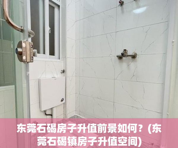 东莞石碣房子升值前景如何？(东莞石碣镇房子升值空间)