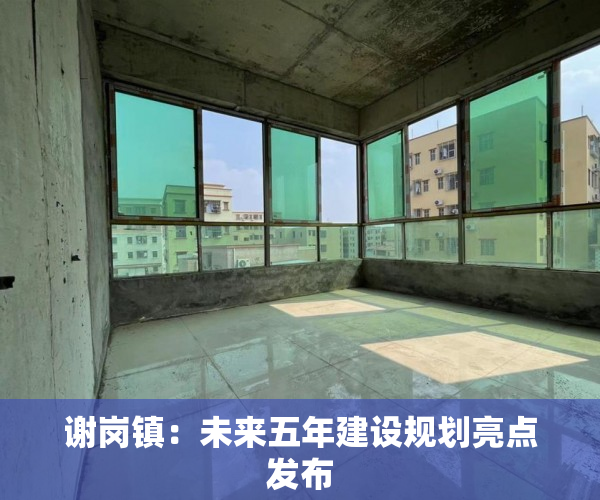 谢岗镇：未来五年建设规划亮点发布