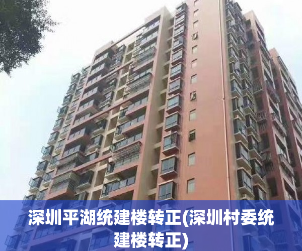 深圳平湖统建楼转正(深圳村委统建楼转正) 深圳平湖统建楼转正(深圳村委统建楼转正)