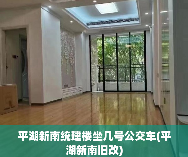 平湖新南统建楼坐几号公交车(平湖新南旧改)