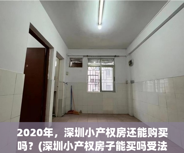 2020年，深圳小产权房还能购买吗？(深圳小产权房子能买吗受法律保护吗)