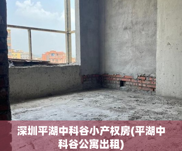 深圳平湖中科谷小产权房(平湖中科谷公寓出租) 深圳平湖中科谷小产权房(平湖中科谷公寓出租)