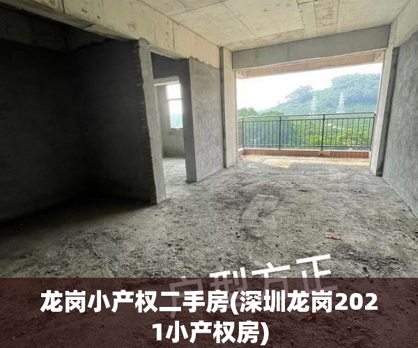 龙岗小产权二手房(深圳龙岗2021小产权房) 龙岗小产权二手房(深圳龙岗2021小产权房)