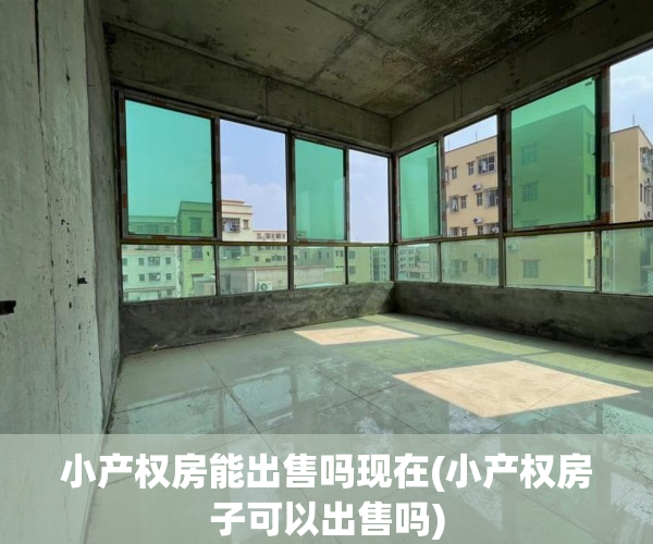 小产权房能出售吗现在(小产权房子可以出售吗) 小产权房能出售吗现在(小产权房子可以出售吗)