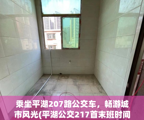 乘坐平湖207路公交车，畅游城市风光(平湖公交217首末班时间)