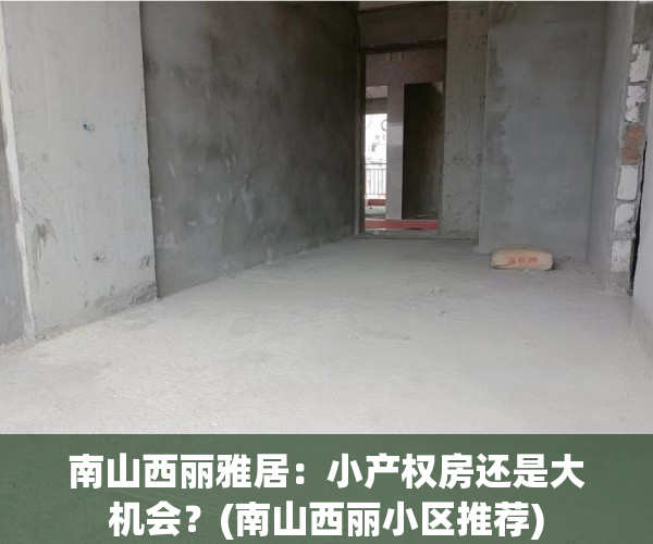 南山西丽雅居：小产权房还是大机会？(南山西丽小区推荐)