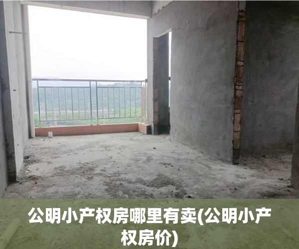 公明小产权房哪里有卖(公明小产权房价) 公明小产权房哪里有卖(公明小产权房价)