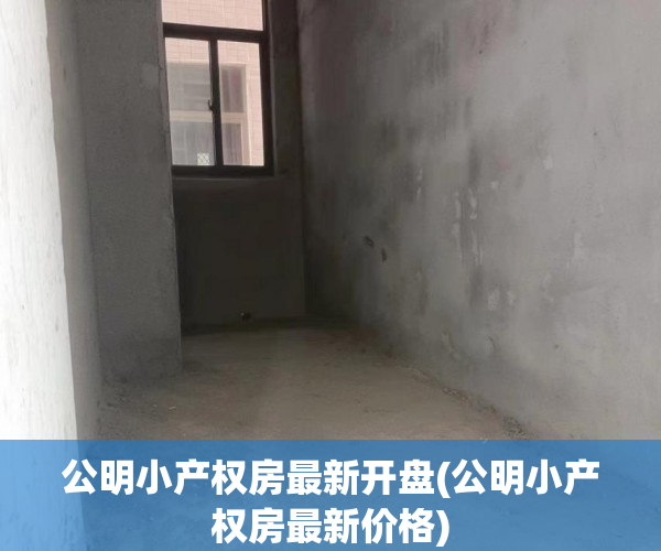 公明小产权房最新开盘(公明小产权房最新价格) 公明小产权房最新开盘(公明小产权房最新价格)