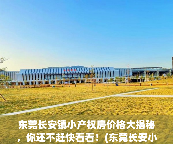 东莞长安镇小产权房价格大揭秘，你还不赶快看看！(东莞长安小产权房有哪些)
