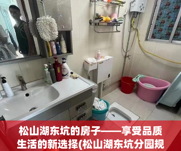 松山湖东坑的房子——享受品质生活的新选择(松山湖东坑分园规划)