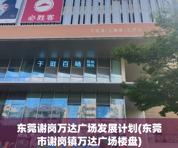 东莞谢岗万达广场发展计划(东莞市谢岗镇万达广场楼盘)