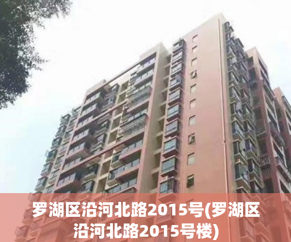 罗湖区沿河北路2015号(罗湖区沿河北路2015号楼) 罗湖区沿河北路2015号(罗湖区沿河北路2015号楼)