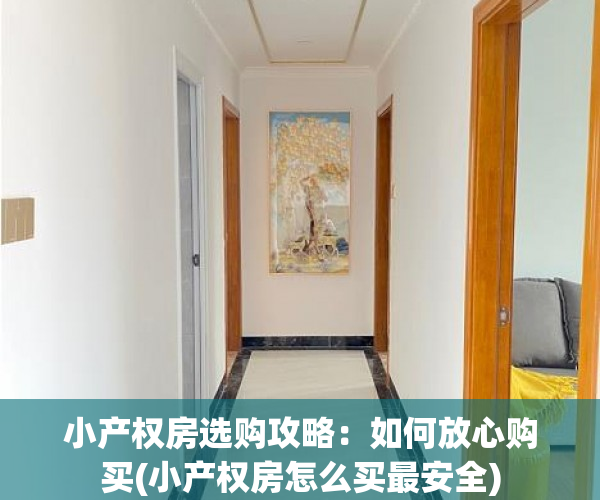 小产权房选购攻略：如何放心购买(小产权房怎么买最安全)