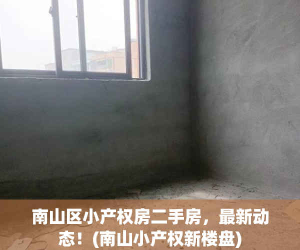 南山区小产权房二手房，最新动态！(南山小产权新楼盘)