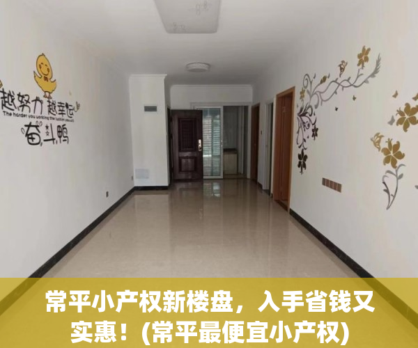 常平小产权新楼盘，入手省钱又实惠！(常平最便宜小产权)