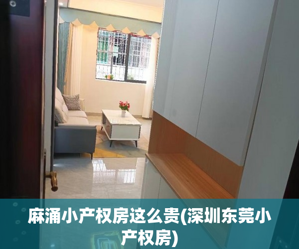 麻涌小产权房这么贵(深圳东莞小产权房) 麻涌小产权房这么贵(深圳东莞小产权房)