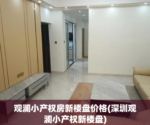观澜小产权房新楼盘价格(深圳观澜小产权新楼盘)