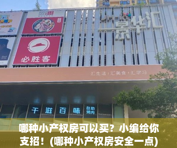 哪种小产权房可以买？小编给你支招！(哪种小产权房安全一点)