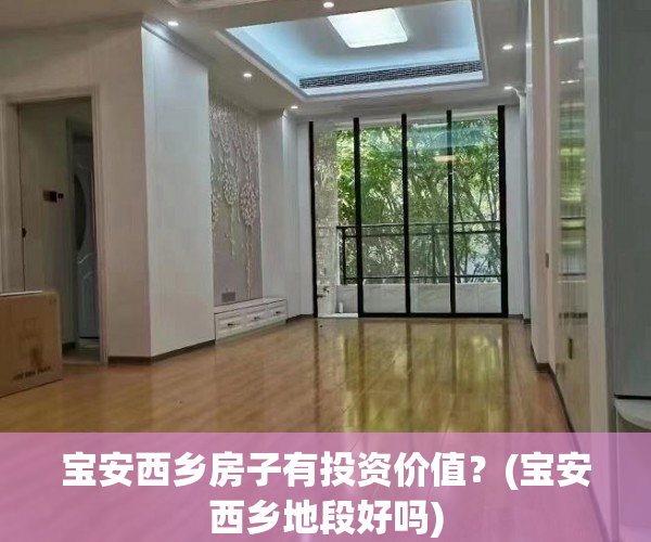 宝安西乡房子有投资价值？(宝安西乡地段好吗)