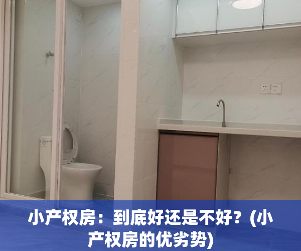 小产权房：到底好还是不好？(小产权房的优劣势)
