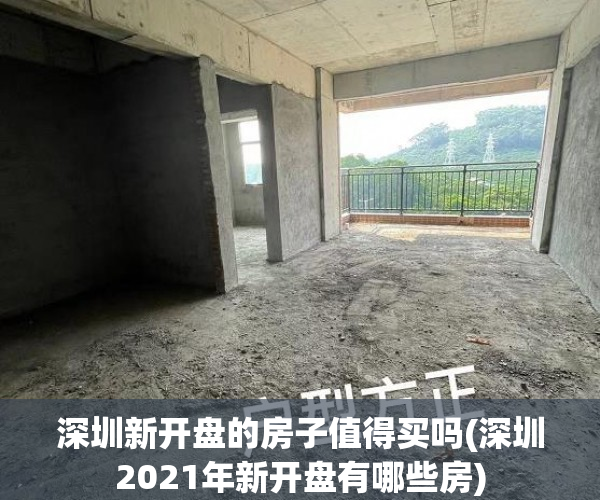 深圳新开盘的房子值得买吗(深圳2021年新开盘有哪些房) 深圳新开盘的房子值得买吗(深圳2021年新开盘有哪些房)